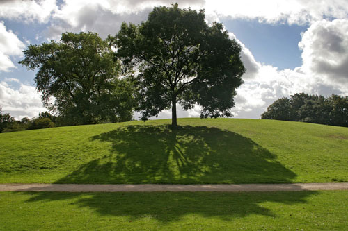Platt Fields