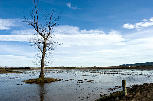 L'Empordà