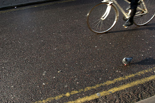 JoanPla-London_1392