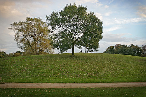 Platt Fields 