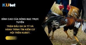 Đỉnh cao của sòng bạc trực tuyến: Trận đấu gà 24 tỷ và hành trình tìm kiếm cơ hội trên Kubet.