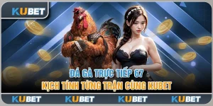 Đá Gà Trực Tiếp 67